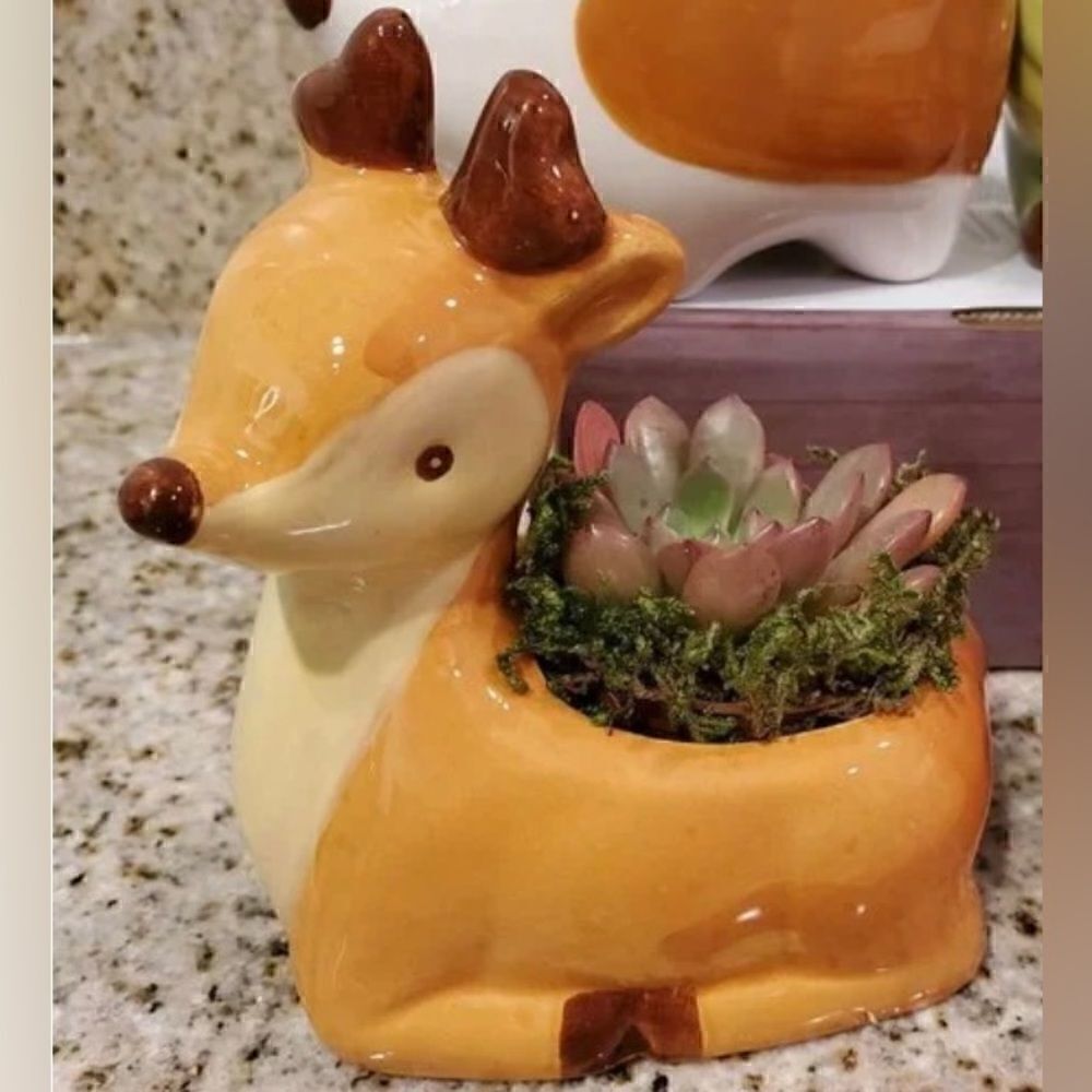 Vintage Hand Painted Deer Planter. Cute for succulents or plants window‎ decor - Picture 3 of 7